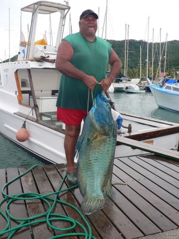 27- Un pecheur et sa prise du jour, un napoleon de plus de 50kg 
